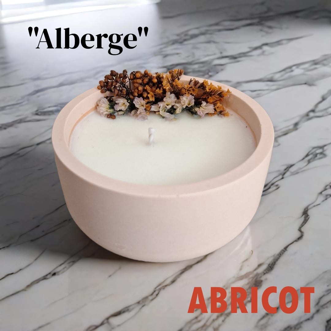 Alberge - Abricot
